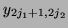 $y_{2j_1+1, 2j_2}$